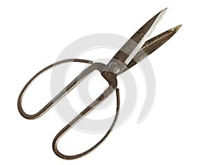 Old scissors on white background,Isolated steel scissors with ru