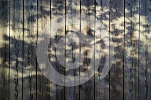 Old scratched wooden board background with shadows