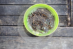 Old screws and nails in green container