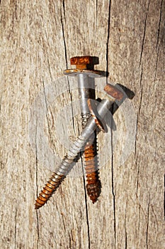 Old screws on wood