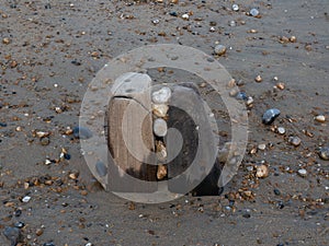 Old Sea Defences with Pebbles