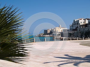 Old seaside town of Vieste in Puglia, Italy photo