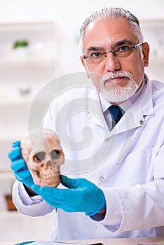 Old senior anthropologist working in the lab