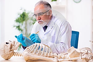 Old senior anthropologist working in the lab