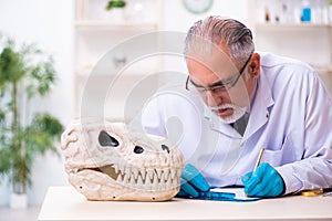 Old senior paleontologist working in the lab