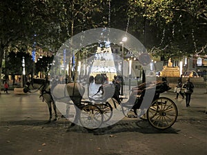 Christmas Carriage in Old Seville