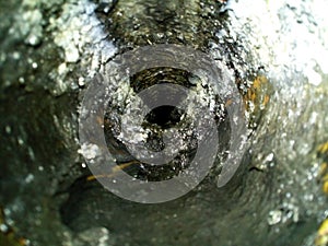 Old sewage pipe