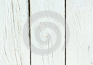 Old shabby background of natural wood white.