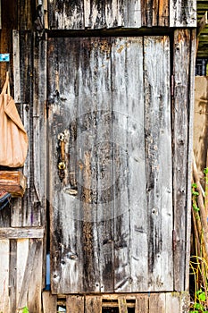 An old shabby building wall with a door made of wooden boards, copy space for text. Branches of bushes on the background