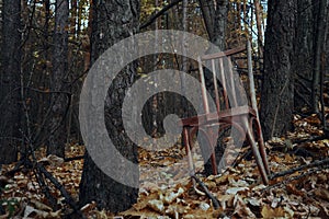 An old shabby chair, standing in the middle of the autumn forest, strewn with dry leaves among the trees. Discarded high, broken