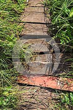 Old shabby cracked wooden boards in green grass in bright sun ba