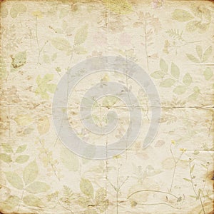 Old shabby faded dried pressed floral pattern paper background