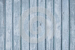 Old shabby fence. Wooden gray boards. Painted wood planks, background. Rustic grain timber texture. Grey wood surface. Dilapidated