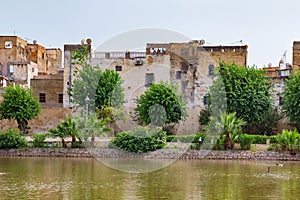 Old shabby residential buildings near the famous Jnan Sbil Gardens in Fez. Morocco photo