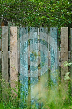 Old shabby wooden fence