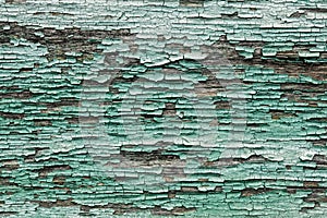 Old shabby wooden planks with cracked color paint