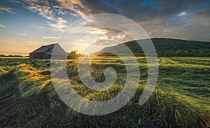 Old Shack in the Field