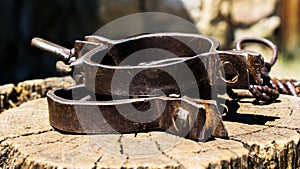 Old shackles on a stump. Old shackles attached to the chain to the log. Photos of old shackles attached to the chain to the log photo