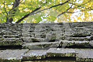 Old Shake Roofing Shingles