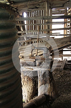 Old Shearing Shed
