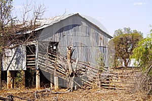 Old shearing shed at Wyandra