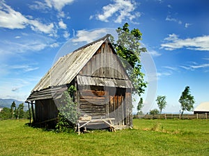 Old Shed