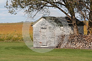 Old Shed