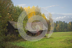 Old shed or barn with sagging roof in autumn landscape