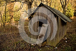 Old shed in forest