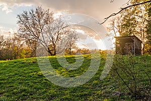 Old shed in a forest preserve