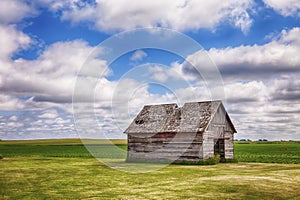 Old Shed In Iowa Field