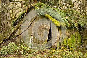 Old Shed in run-down condition