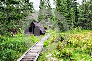 Shed in forest at High tatras, Slovakia