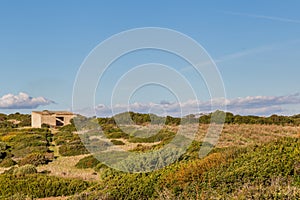 Old sheep barn in the field