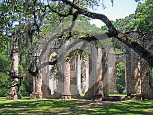 Old Sheldon Church Ruins photo