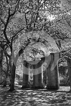 Old Sheldon Church Ruins Yemassee, South Carolina