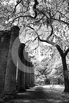 Old Sheldon Church Ruins Yemassee, South Carolina