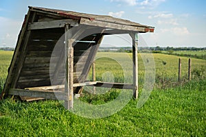 Starý přístřešek v zeleném pšeničném poli