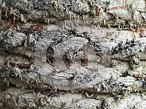 Old ship rope texture