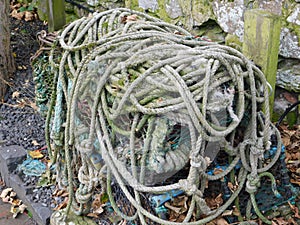 Old Ship`s Rope on Lindisfarne The Holy Island