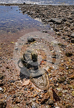 Old shoe at beach