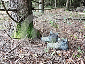 Old shoe in forest