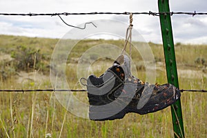 Old shoe hanging from barbed wire fence.