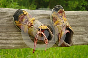 Old shoes on a board