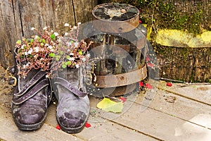 Old shoes with flowers on old wood background