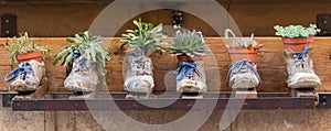 Shoe Planters photo