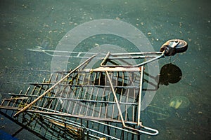 Old Shopping Cart in the River