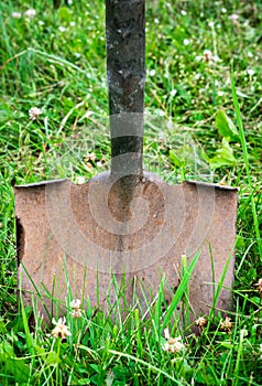 Old shovel stuck in green grass