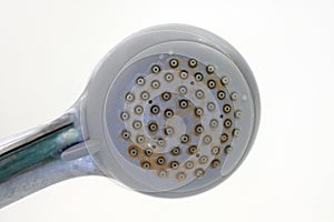 Old shower head with plaque.