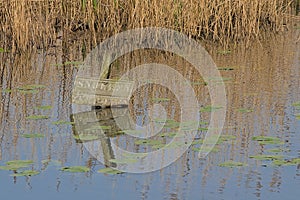 Old sign with illegible inscription in the lake